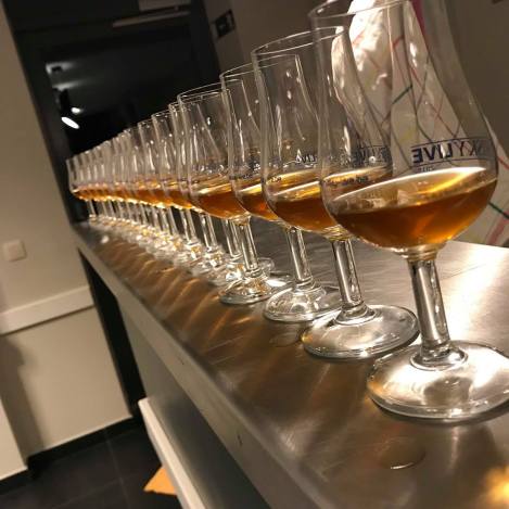 42059033_982918981879507_2407919272144666624_n