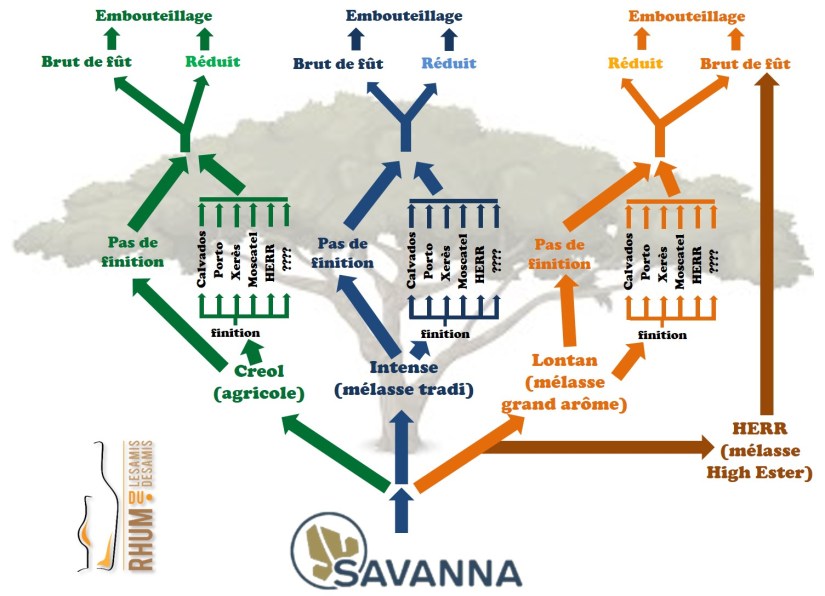 Savanna Arbre AAR